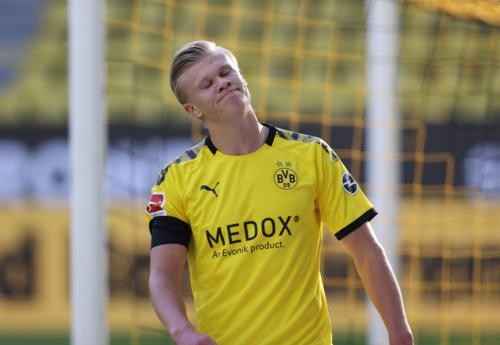 会被放大 会被放大